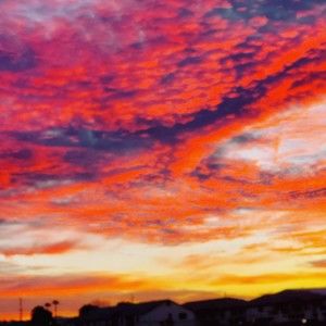 Meet your Posher, Robin